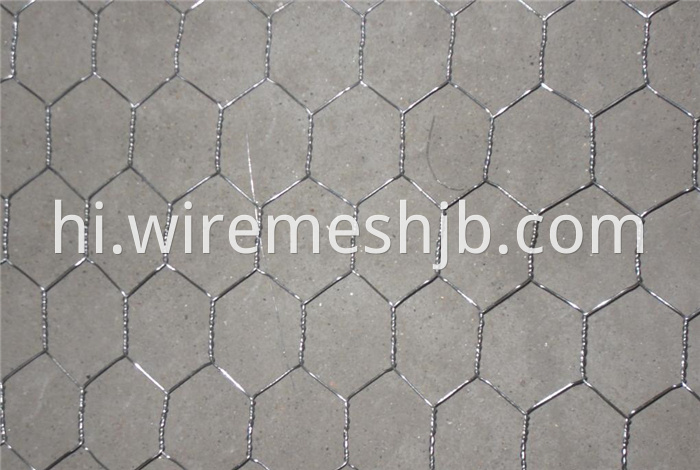 1'' Hexagonal Wire Netting